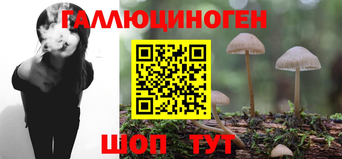 Галлюциногенные грибы Cubensis  Псилоцибиновые грибы Magic Shrooms  цены наркотик  Вход с VPN  Мурманск 